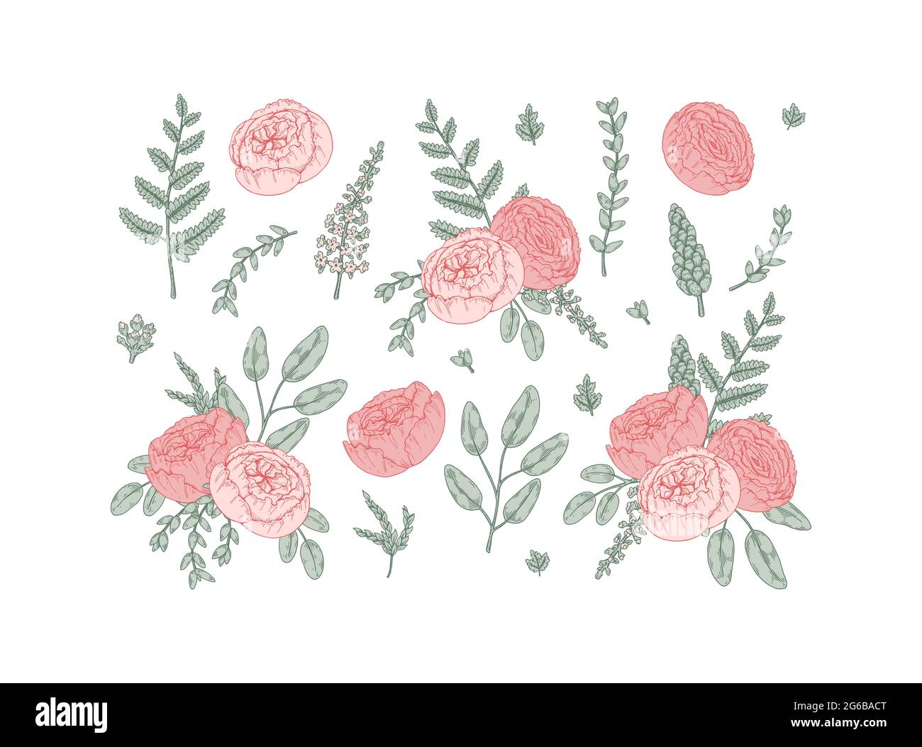 Set of hand drawn wedding floristry design element. Vector illustration ...