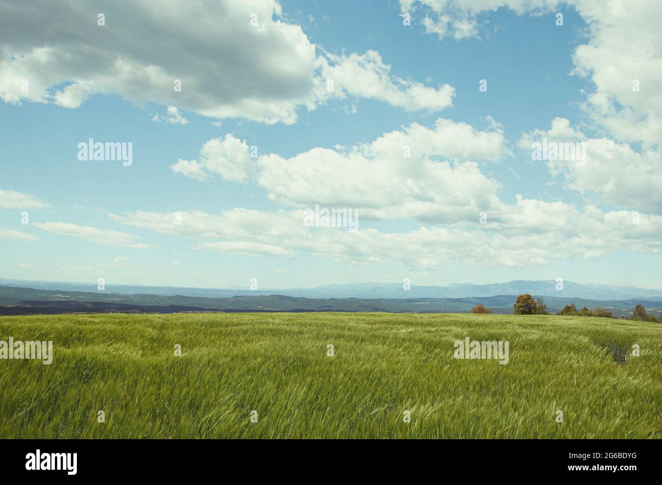 Rural landscape in summer, Spain Stock Photo