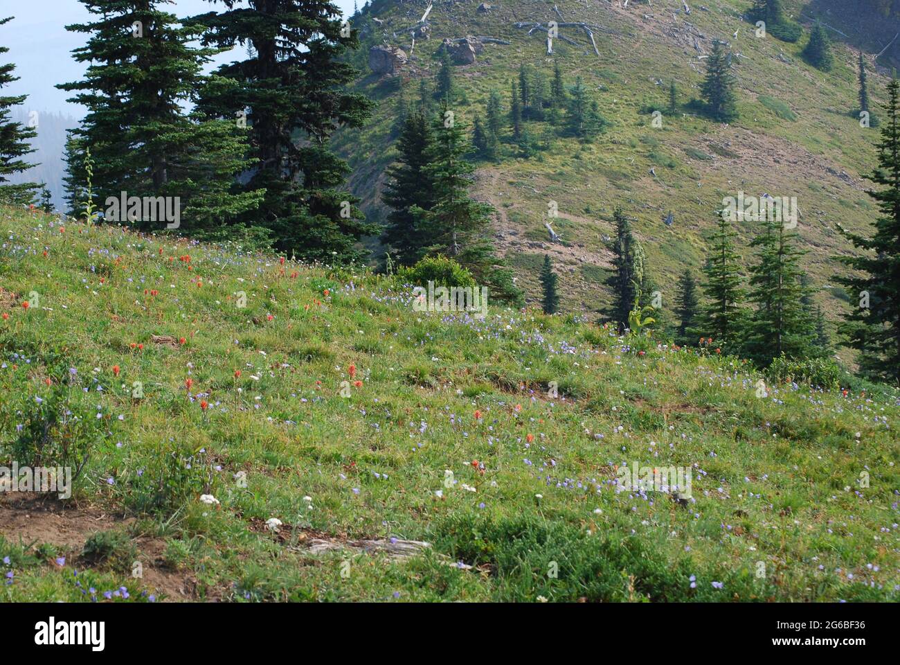 Scenery of the Cascade Mountains Stock Photo