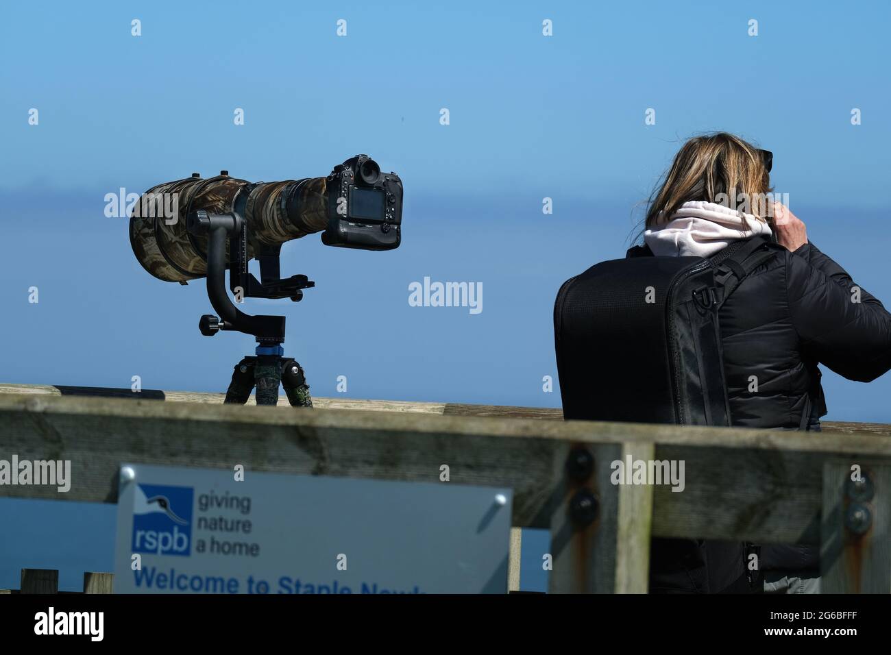 Natural history photographers in action. Stock Photo