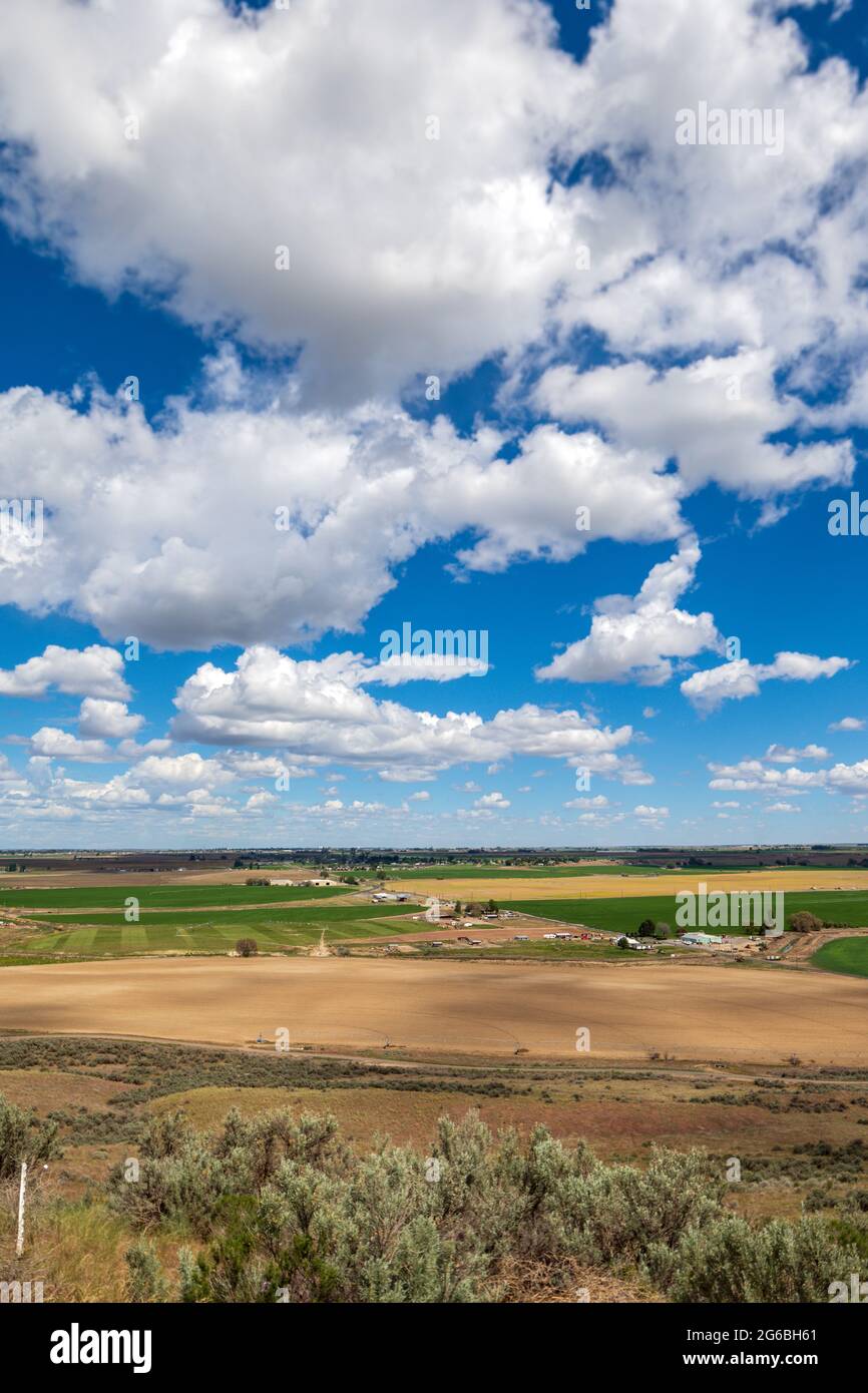 Othello washington hires stock photography and images Alamy