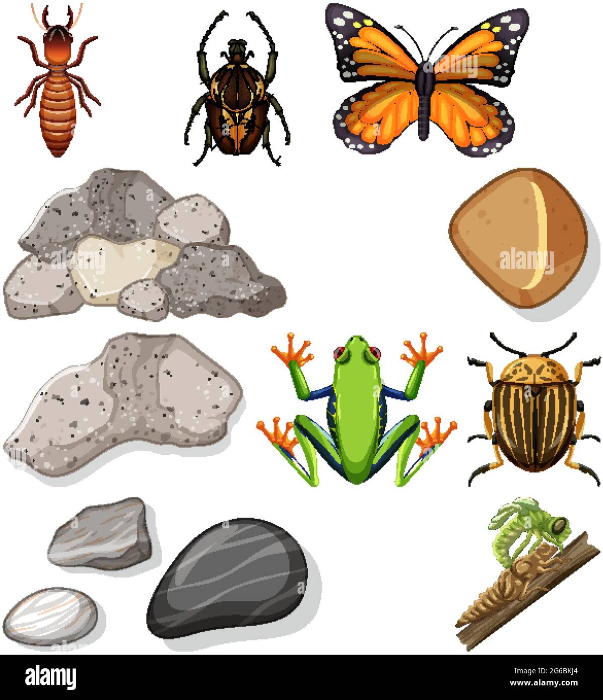 Different types of insect with nature elements illustration Stock ...