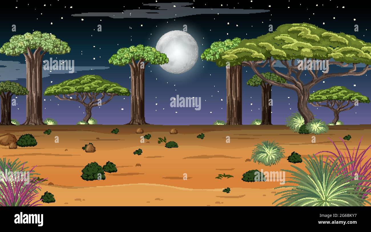Nature forest landscape at night scene illustration Stock Vector Image ...