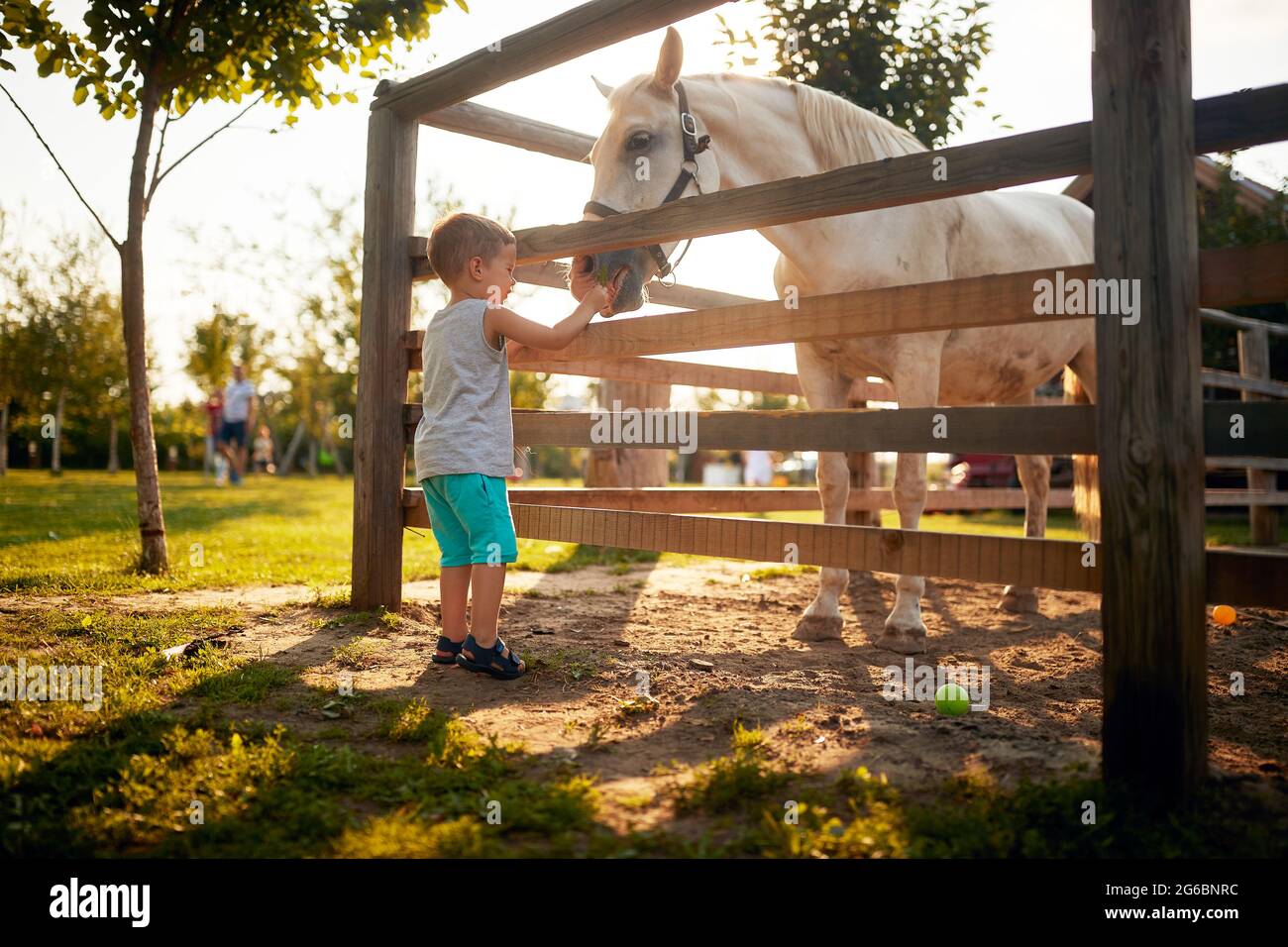A little boy feeding a horse in the farm on a beautiful weather. Farm, countryside, summer Stock Photo