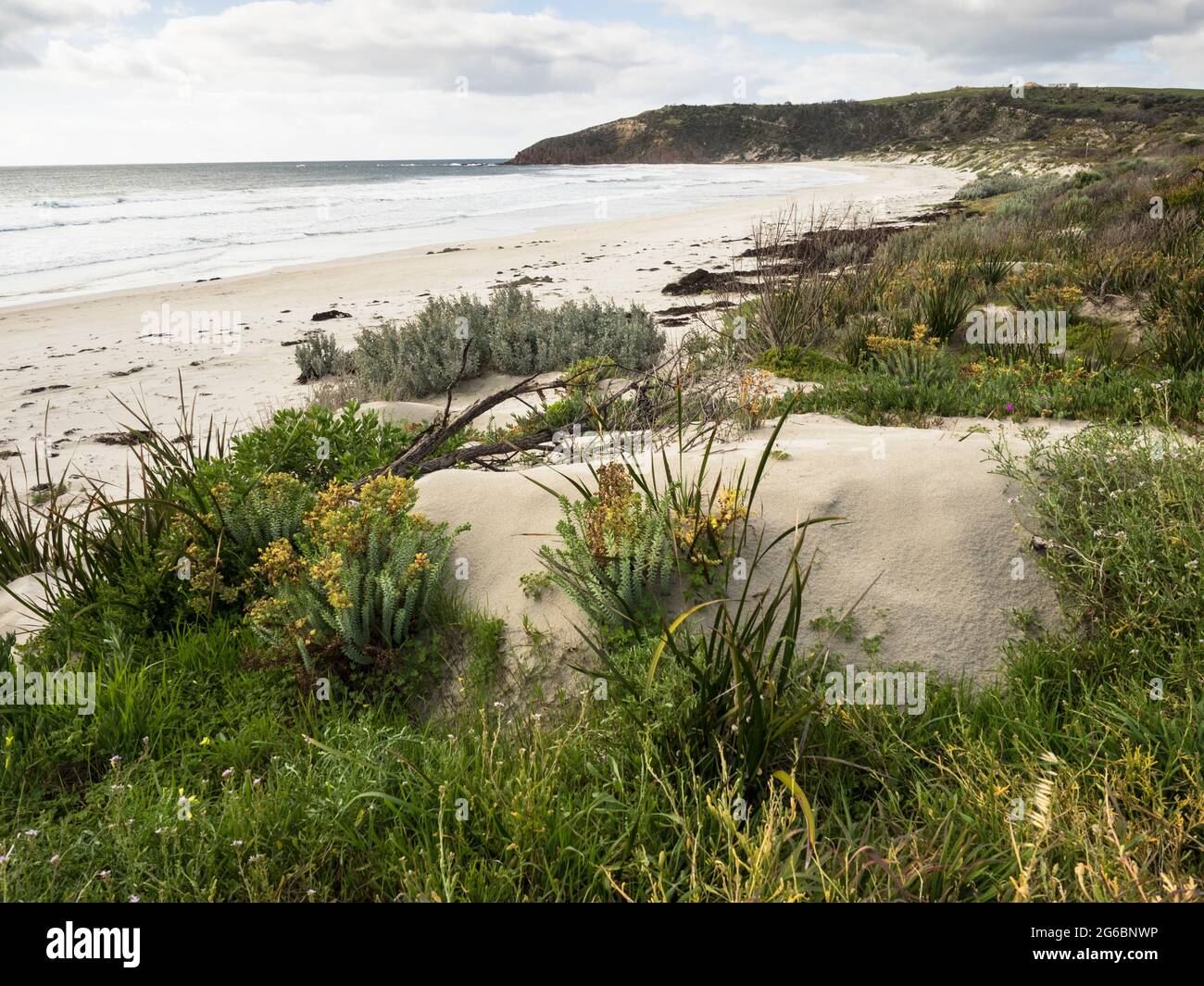 Snelling Beach Snelling Beach, Kangaroo Island, South Australia Stock Photo - Alamy