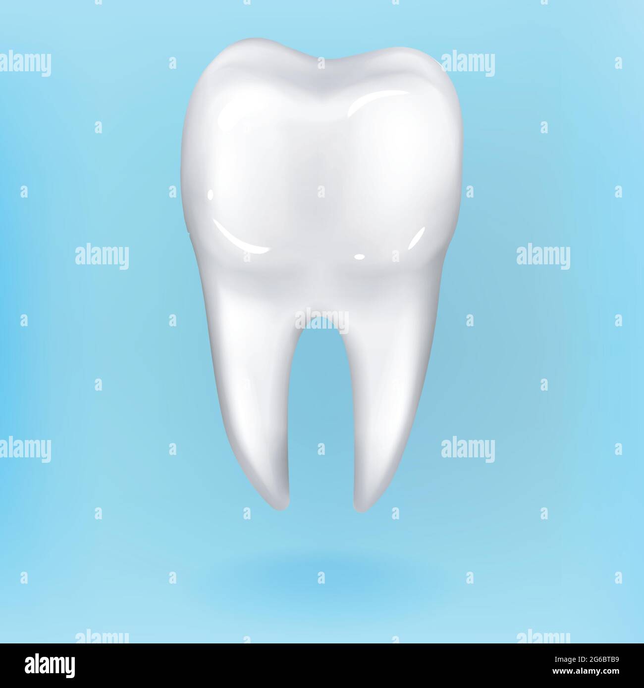 Dental model of premolar tooth Stock Vector Image &amp; Art - Alamy
