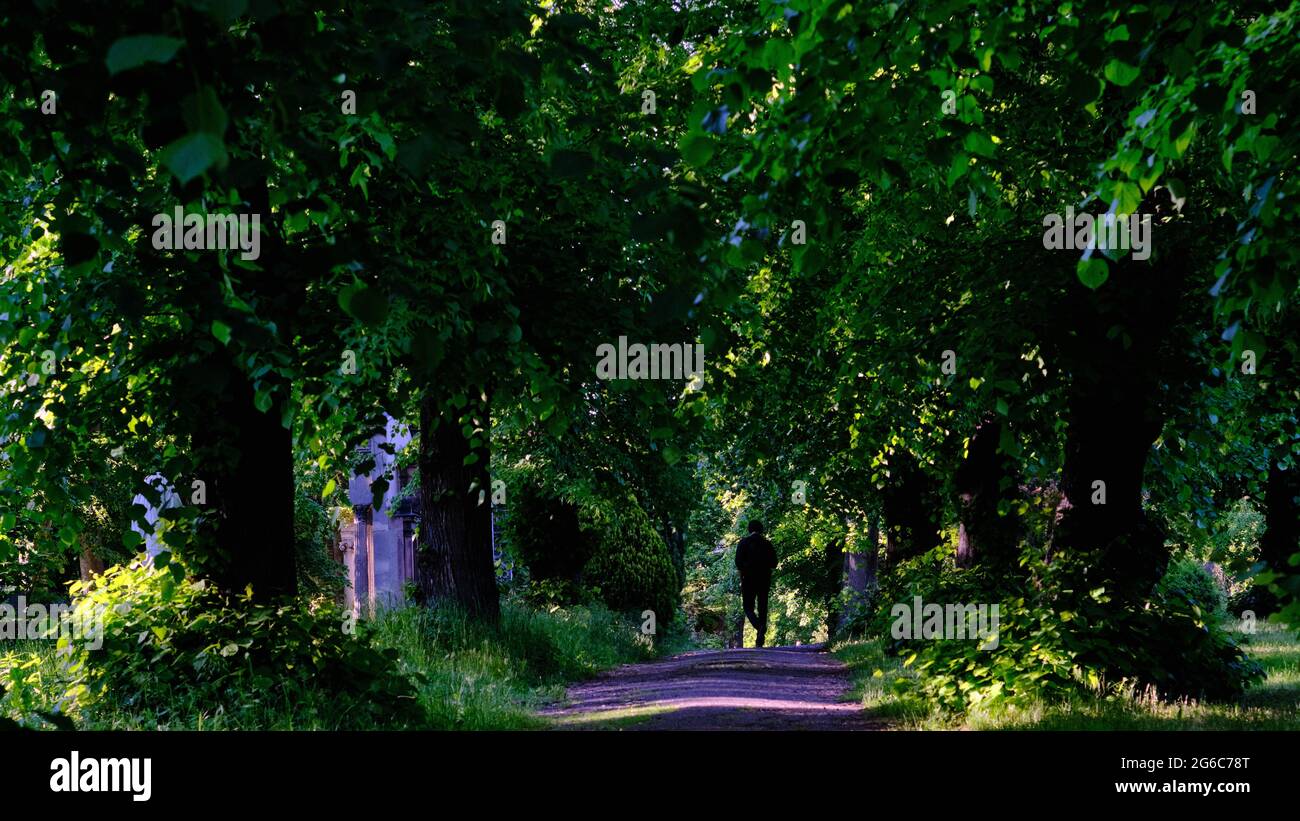 Berlin, Germany. 30th May, 2021. A man walks along a path under trees in the Luisenstädt cemetery. Credit: Stefan Jaitner/dpa/Alamy Live News Stock Photo
