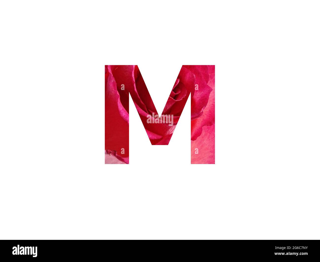 Letter M of the alphabet made with a photo of a red rose, isolated ...