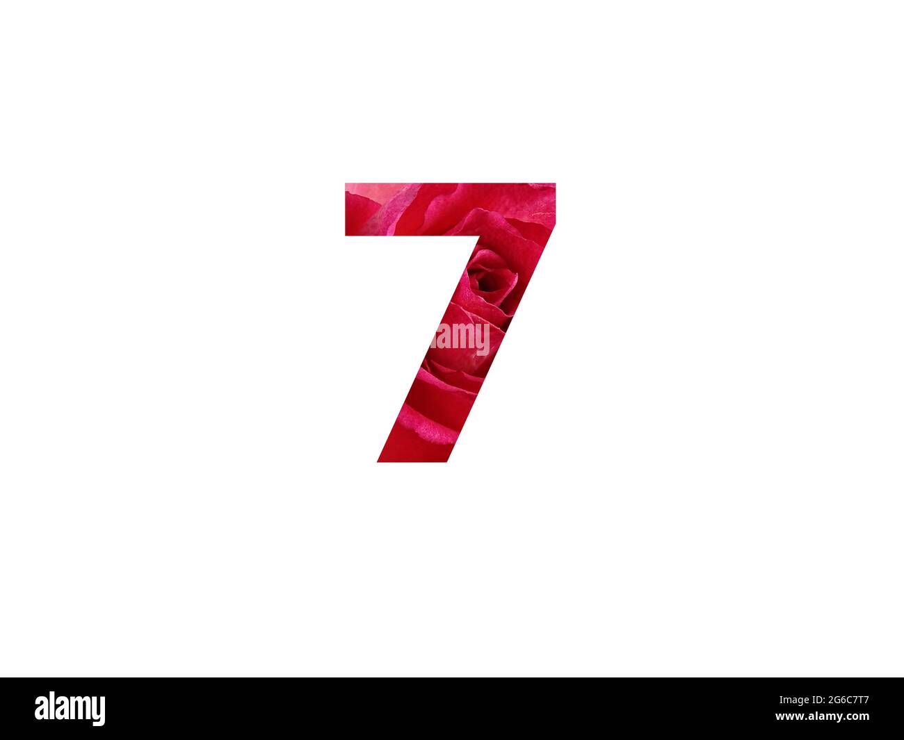 Number 7 of the alphabet made with a photo of a red rose, isolated on a white background Stock Photo