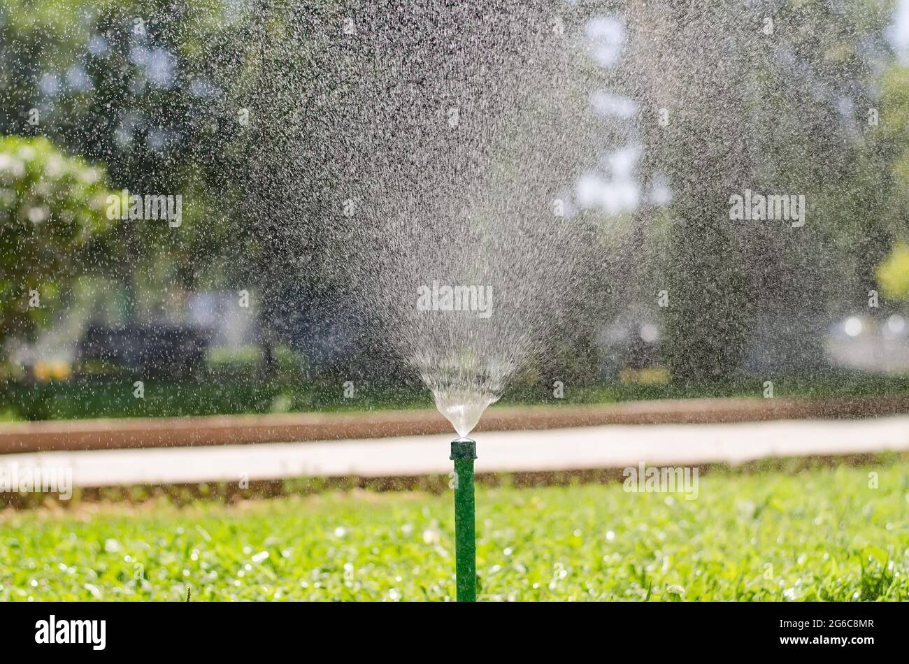 Automatic irrigation and water spraying system on the lawn on a sunny summer day Stock Photo