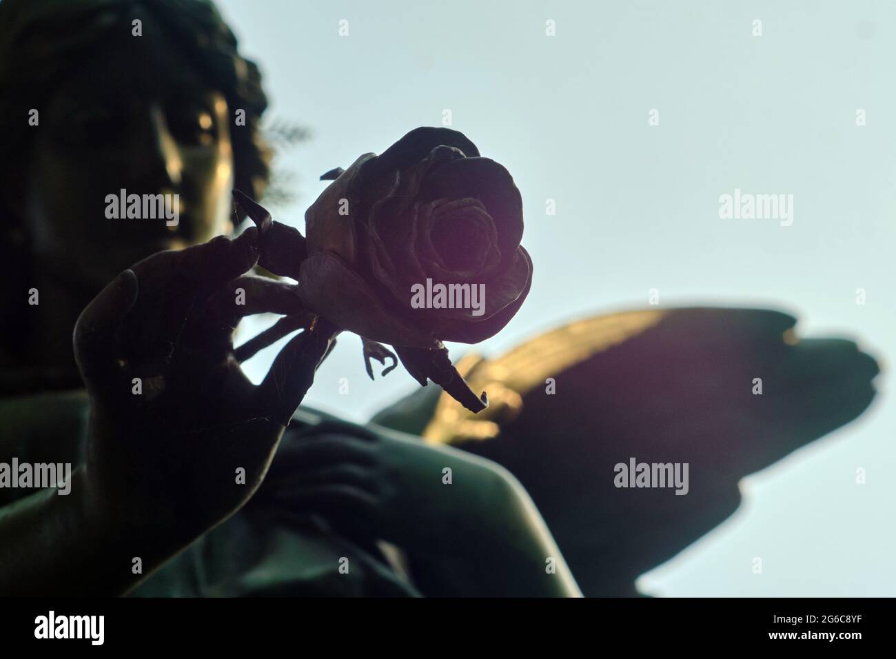 Berlin, Germany. 30th May, 2021. A bronze angel figure holds a rose in the Luisenstadt Cemetery. Credit: Stefan Jaitner/dpa/Alamy Live News Stock Photo