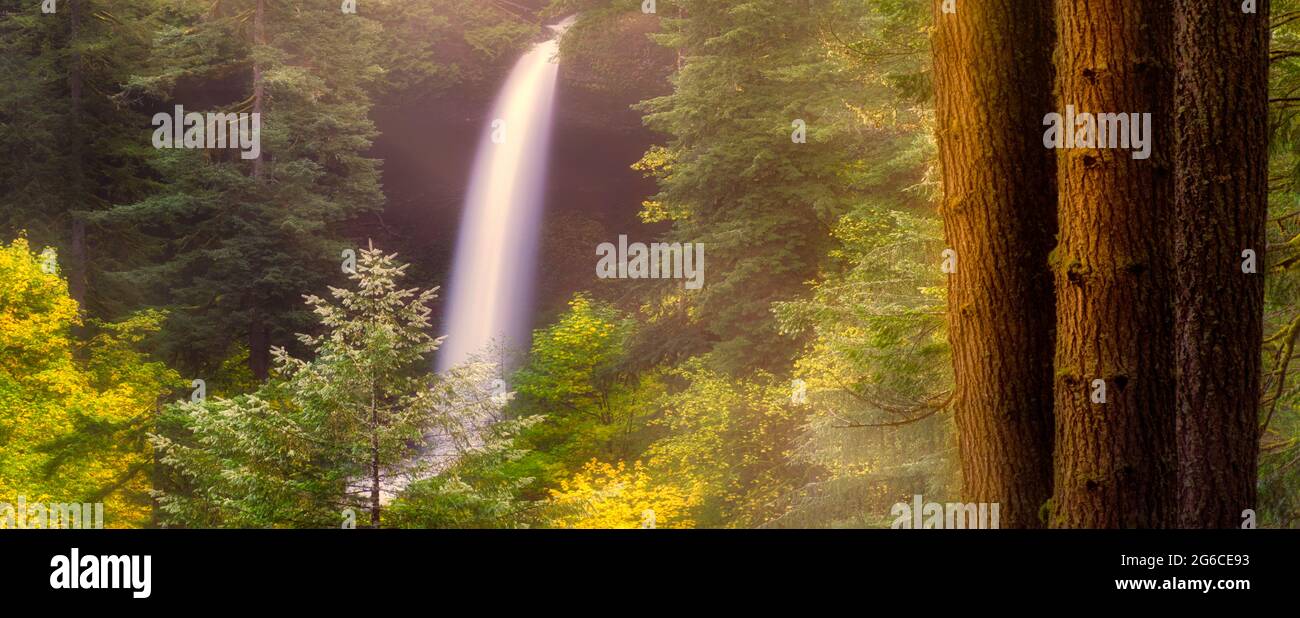 North Falls with fog and fall color. Silver Falls State Park, Oregon