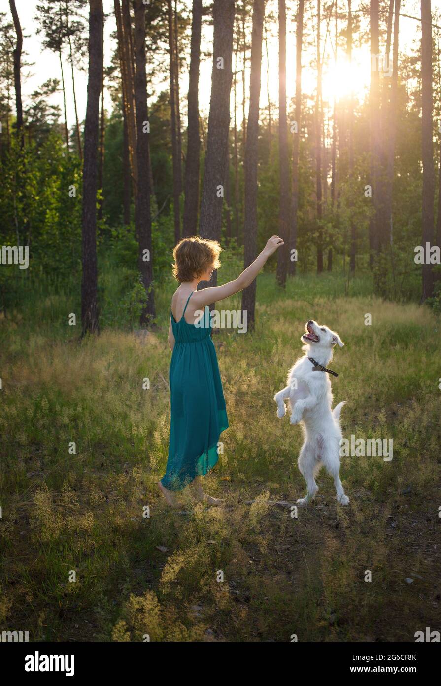 Graceful young woman in a sundress and her white dog training in forest. joy of life. Summer walks in nature. A great friendship between a girl and a Stock Photo