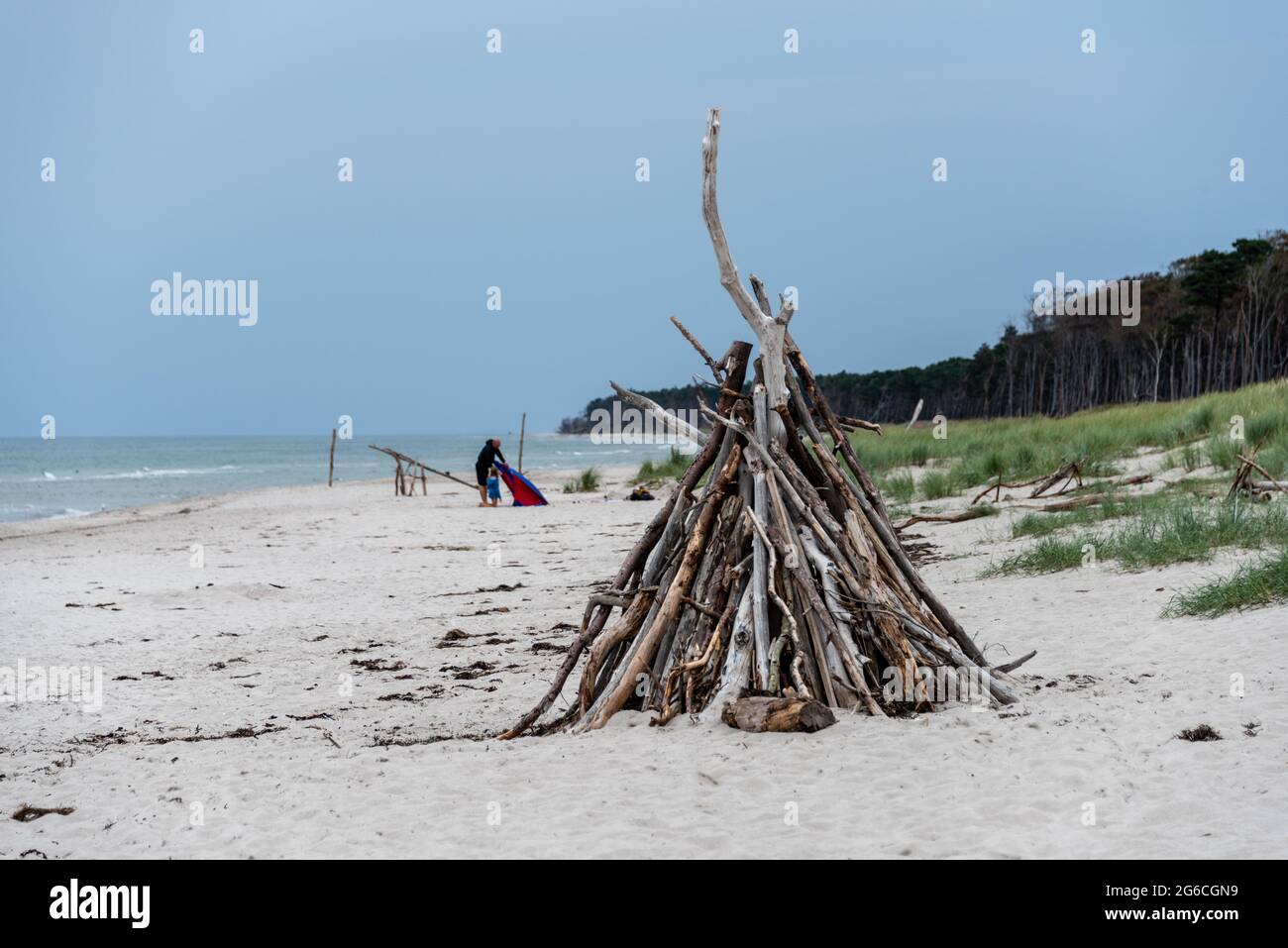 treibgut-angeschwemmtes-holz-am-prerower-westrand-auf-dem-dar-an-der