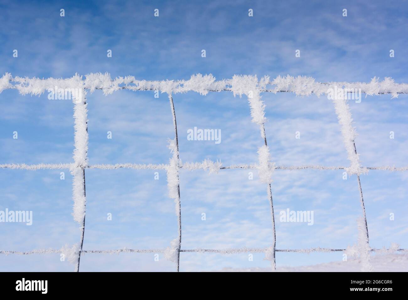 Hoar frost forming on wire fence during a cold winter spell in the Yorkshire Dales, UK. Stock Photo