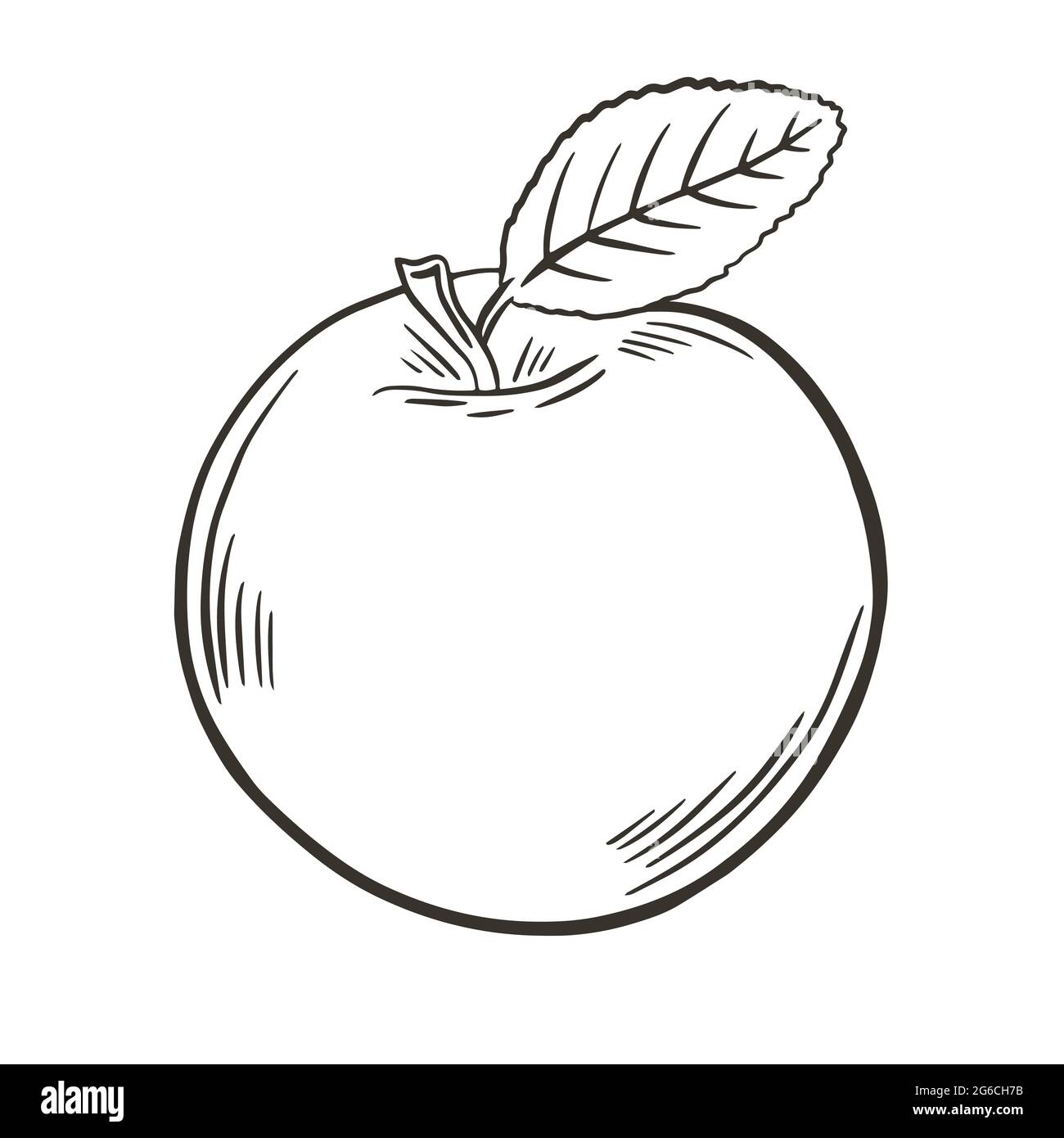 Fruits Drawing Outline