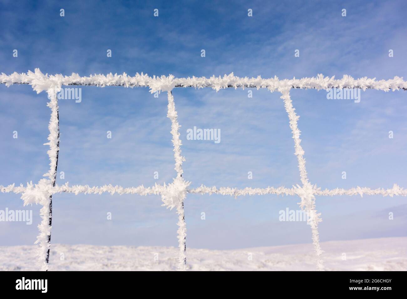 Hoar frost forming on wire fence during a cold winter spell in the Yorkshire Dales, UK. Stock Photo