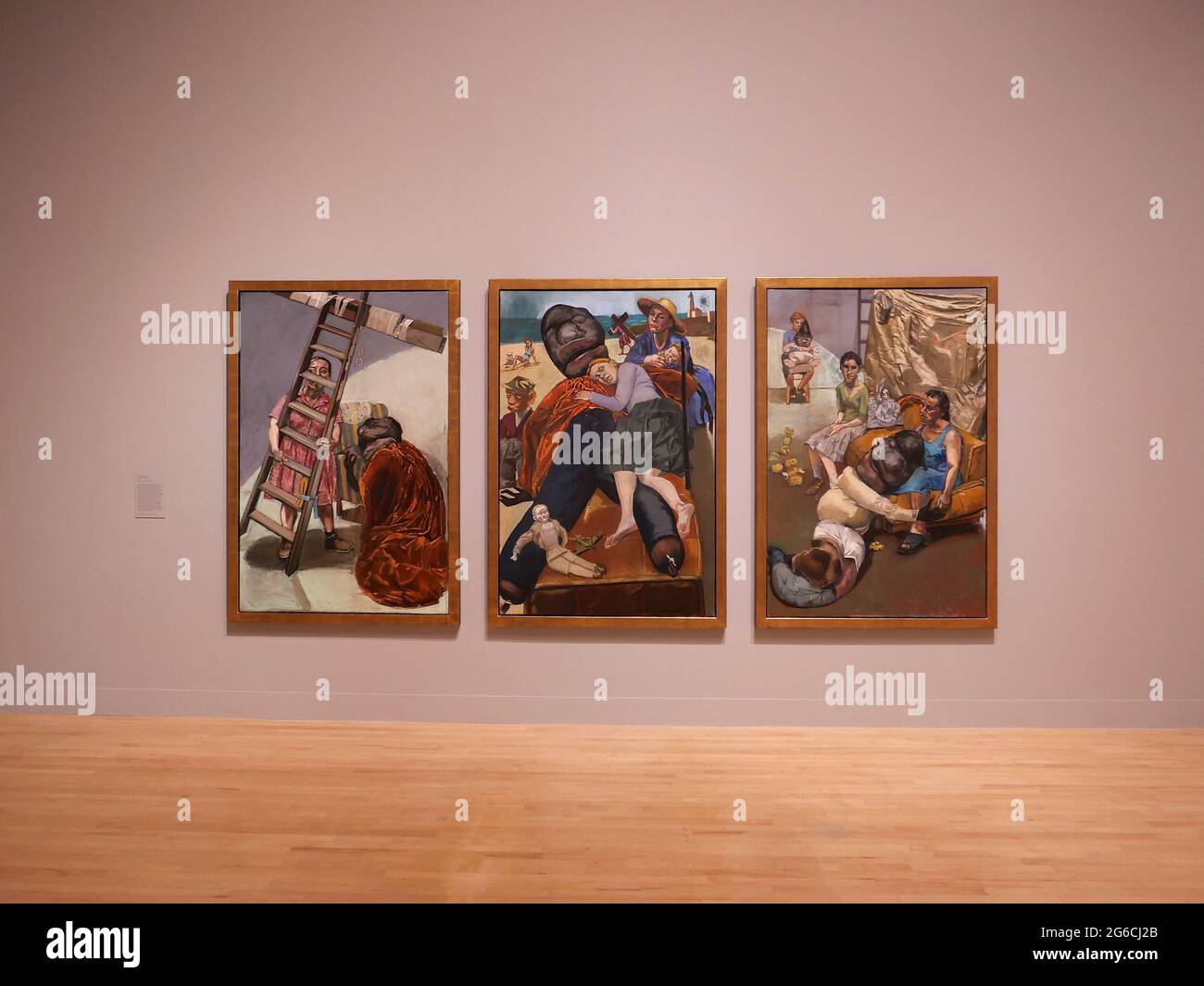 Paula rego tate hi-res stock photography and images - Alamy
