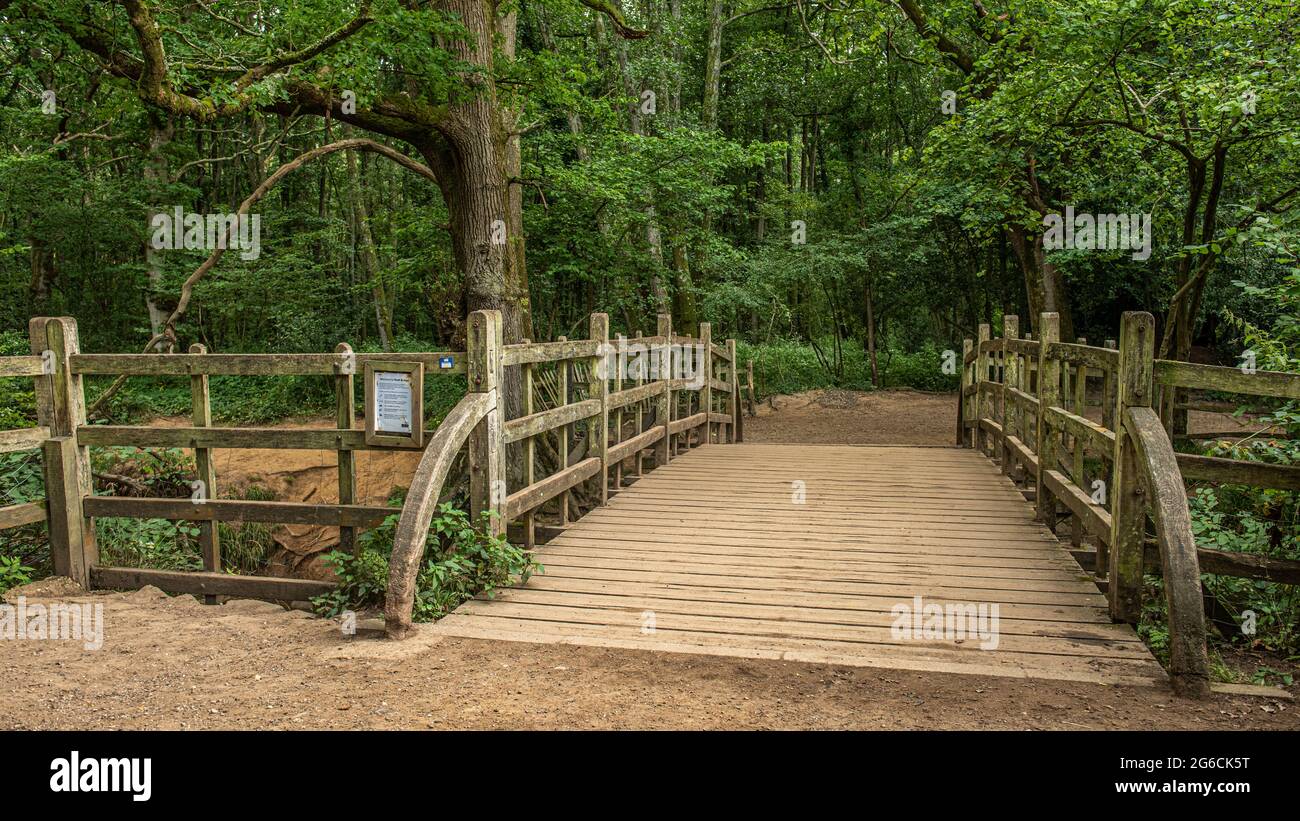 Pooh Sticks bridge were Pooh sticks originated located in the One Hundred Acre wood in Ashdown Forest near Hartfield. Stock Photo