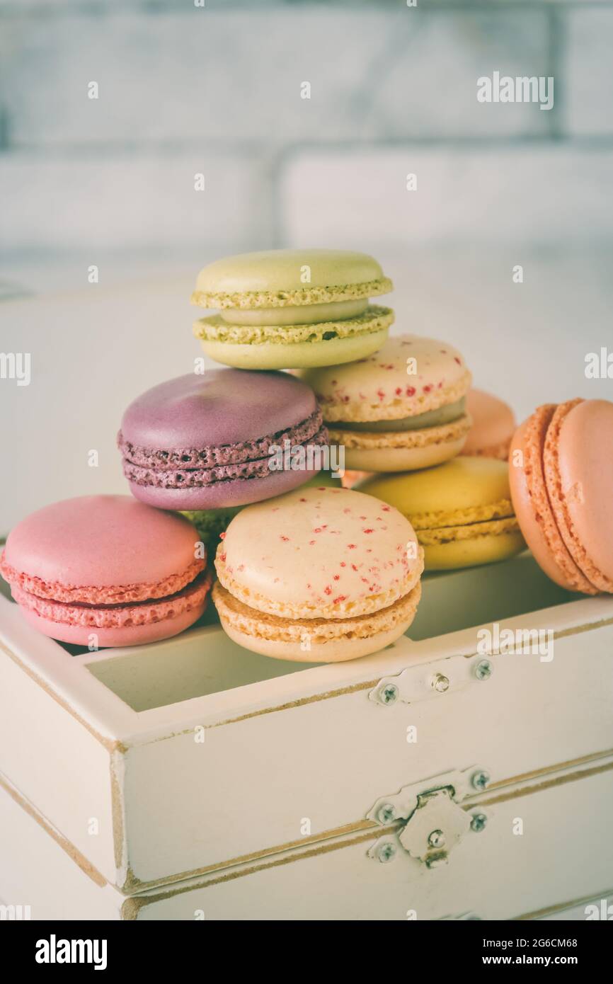 What's the Difference between the Macaron and Pastel Colored