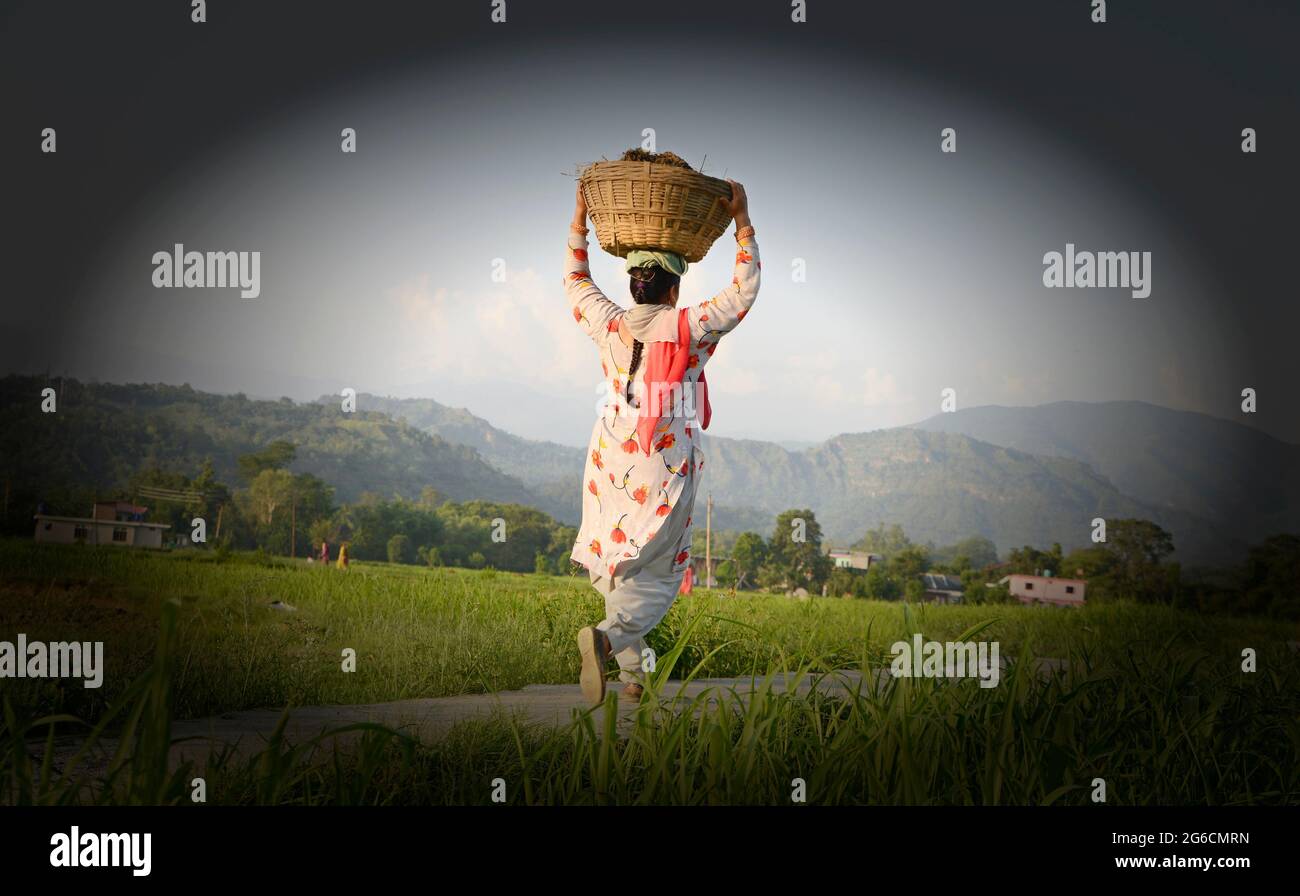 Farmer carrying crop on head hi-res stock photography and images - Alamy