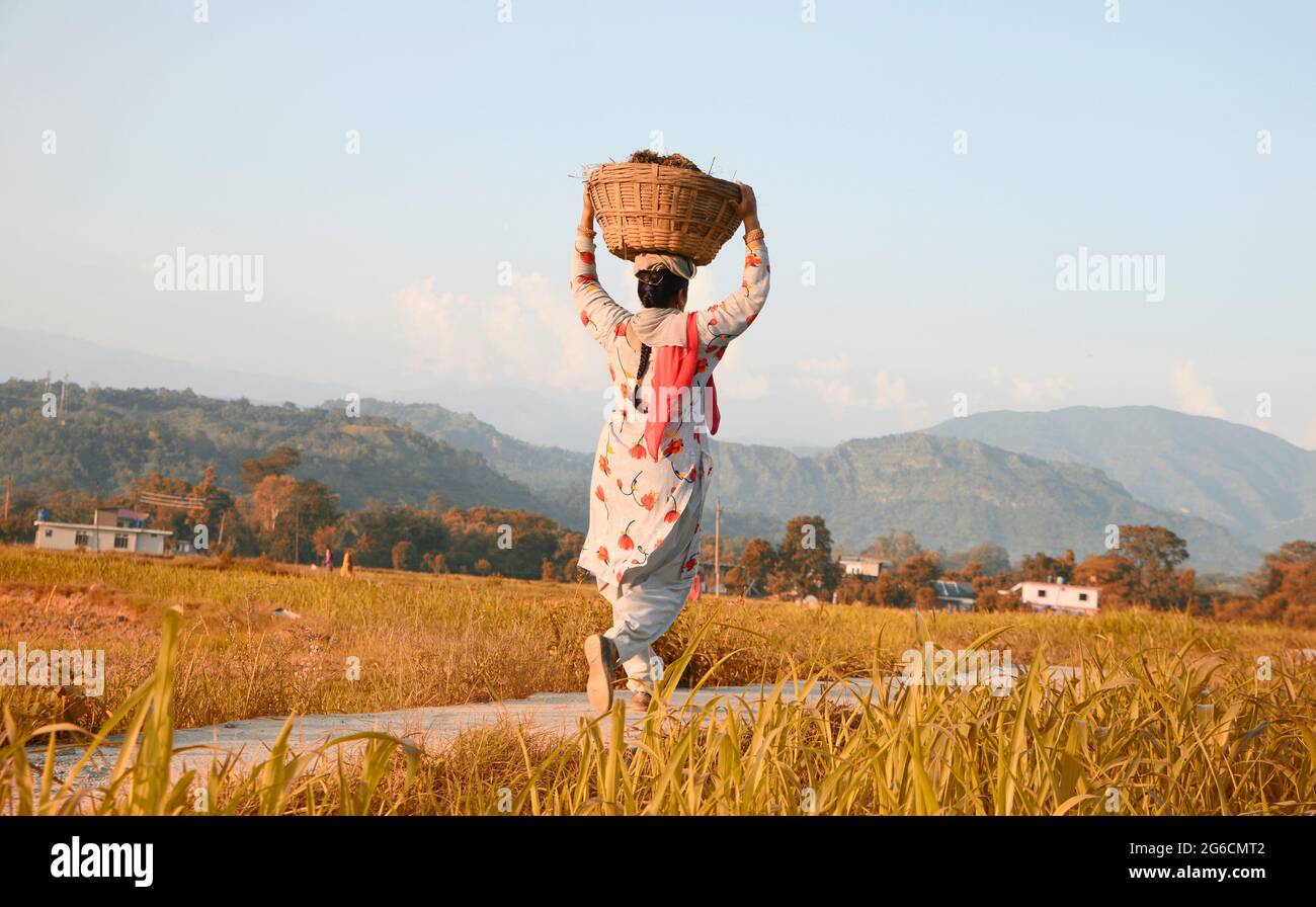 Farmer carrying crop on head hi-res stock photography and images - Alamy
