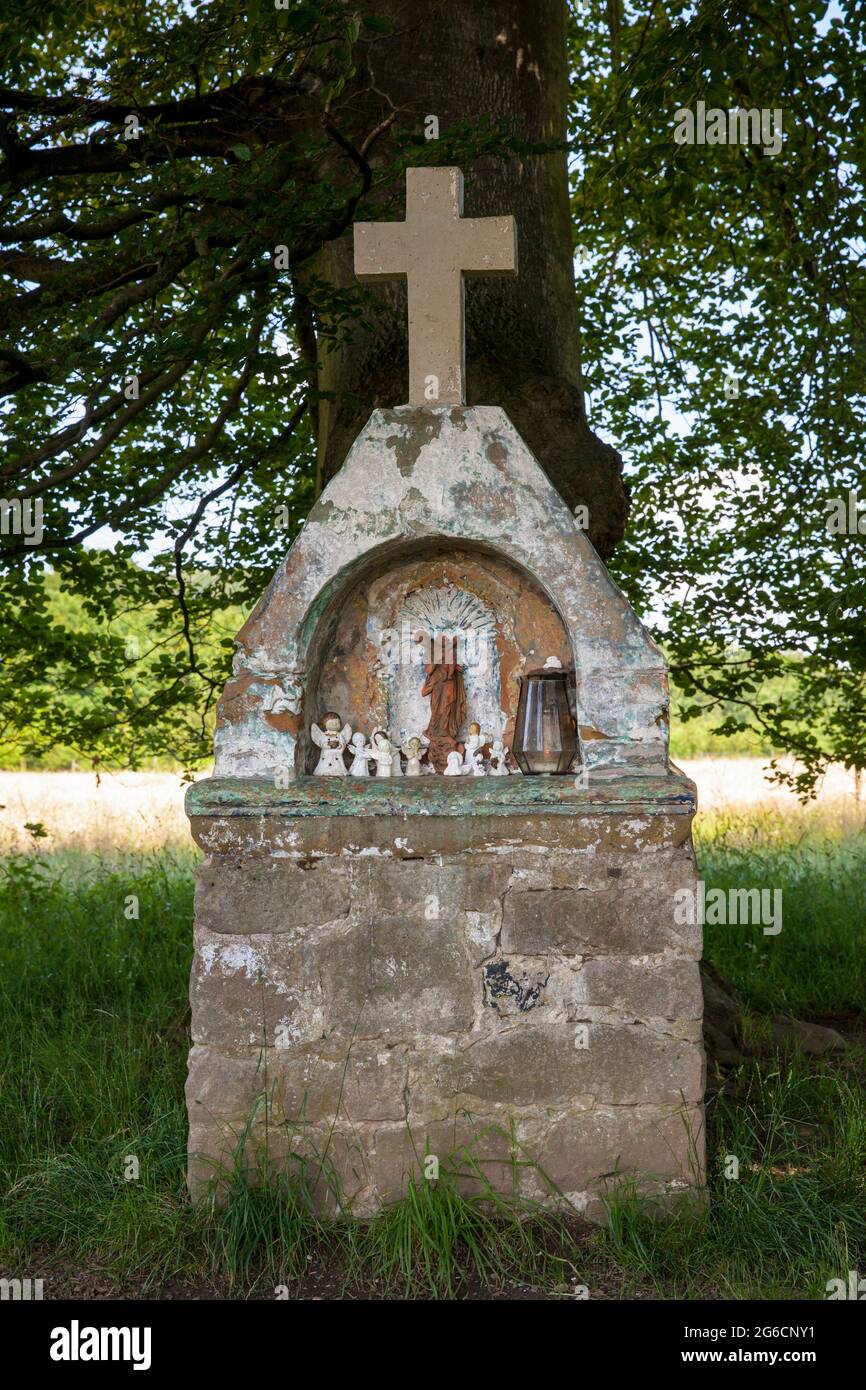 small altar under old trees in the Wahner Heath near Troisdorf, North Rhine-Westphalia, Germany.  Altaerchen unter alten Baeumen in der Wahner Heide b Stock Photo