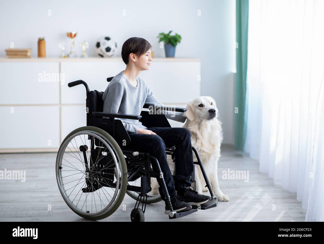 Human animal friendship concept. Handicapped teen boy in wheelchair stroking his dog, looking out window at home Stock Photo