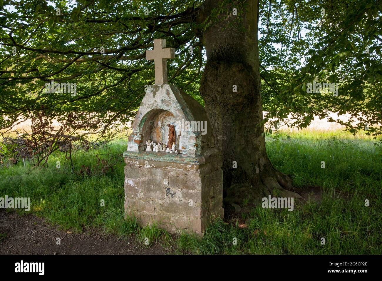 small altar under old trees in the Wahner Heath near Troisdorf, North Rhine-Westphalia, Germany.  Altaerchen unter alten Baeumen in der Wahner Heide b Stock Photo