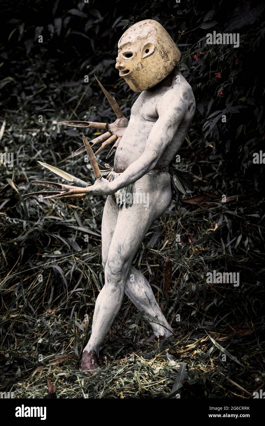 A Mudman in action during the festival. PAPUA NEW GUINEA THIS PHOTOGRAPHER has shared pictures from a festival that brings rival tribes together in Stock Photo Alamy