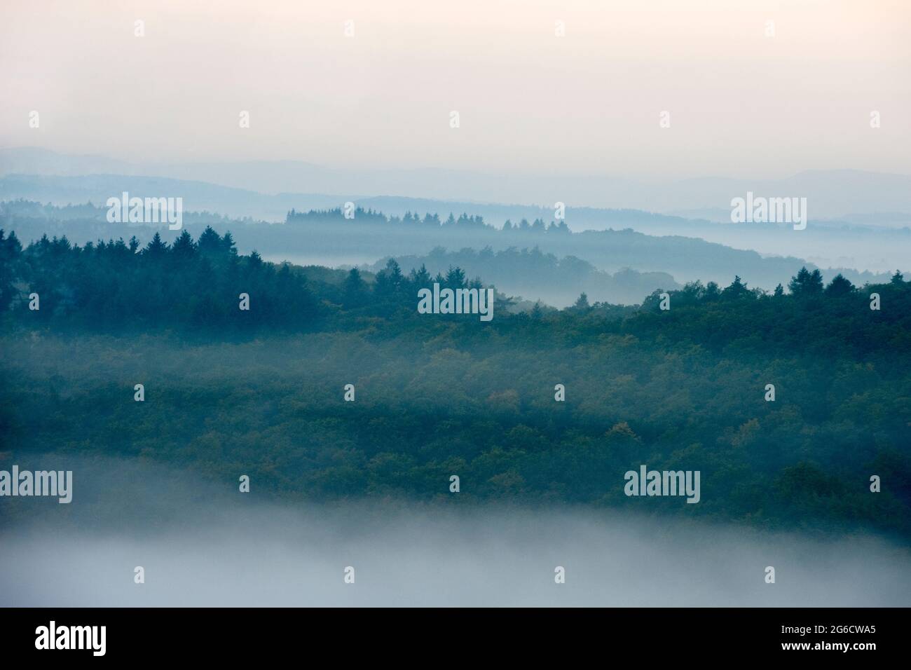 Waldlandschaft im Nebel, Mittelgebirge, Deutschland, Europa Stock Photo