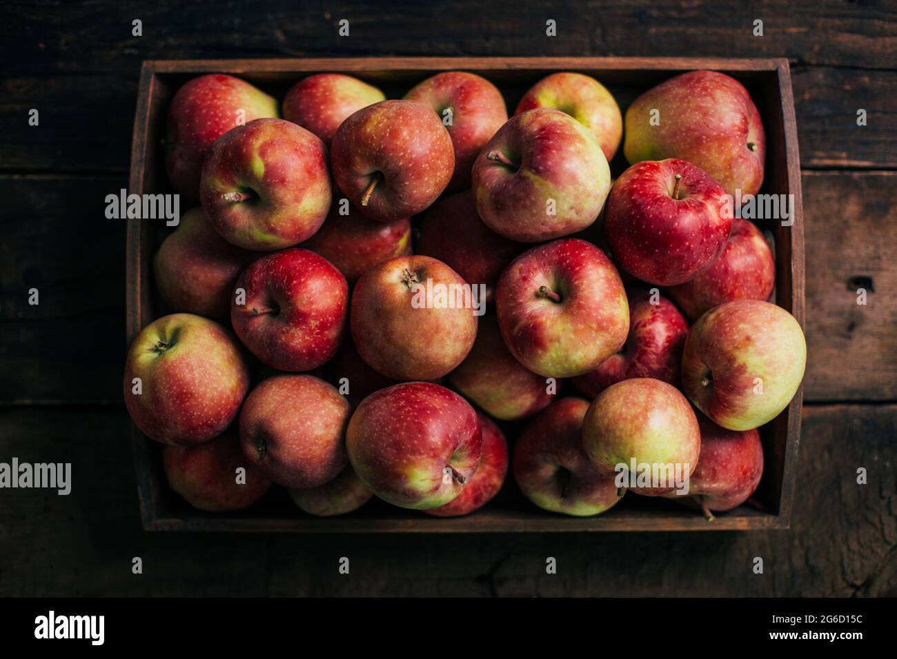 Fresh red apples on dark background Stock Photo