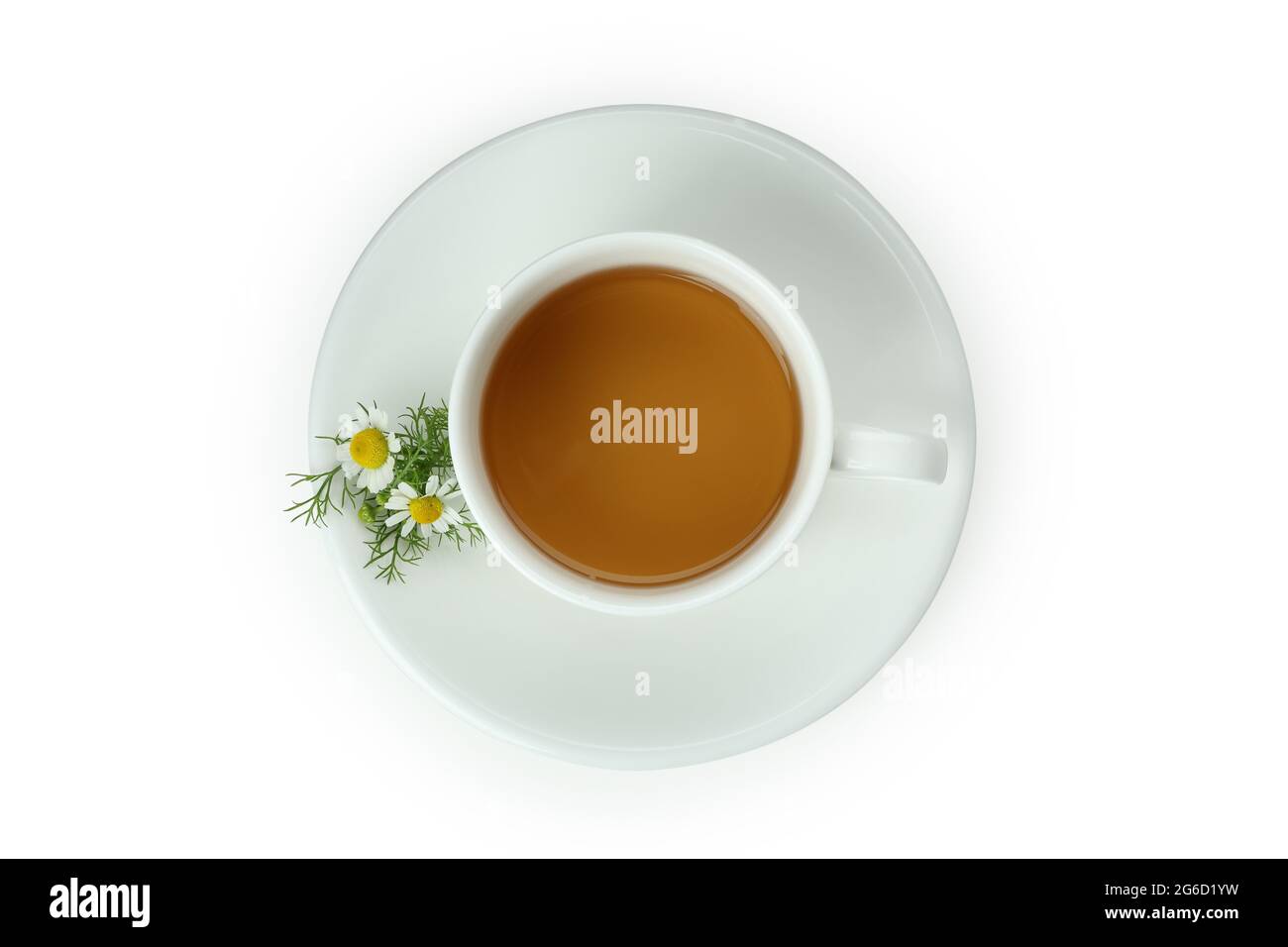 Cup of chamomile tea isolated on white background Stock Photo - Alamy