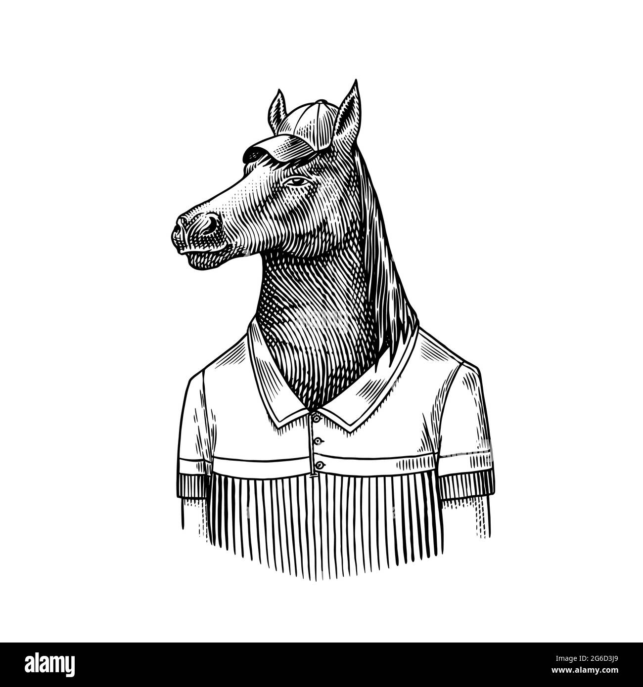 Horse character in coat. Dobbin polo player. Fashionable animal vitorian gentleman in a jacket. Hand drawn Engraved old monochrome sketch. Vector Stock Vector Image Art Alamy