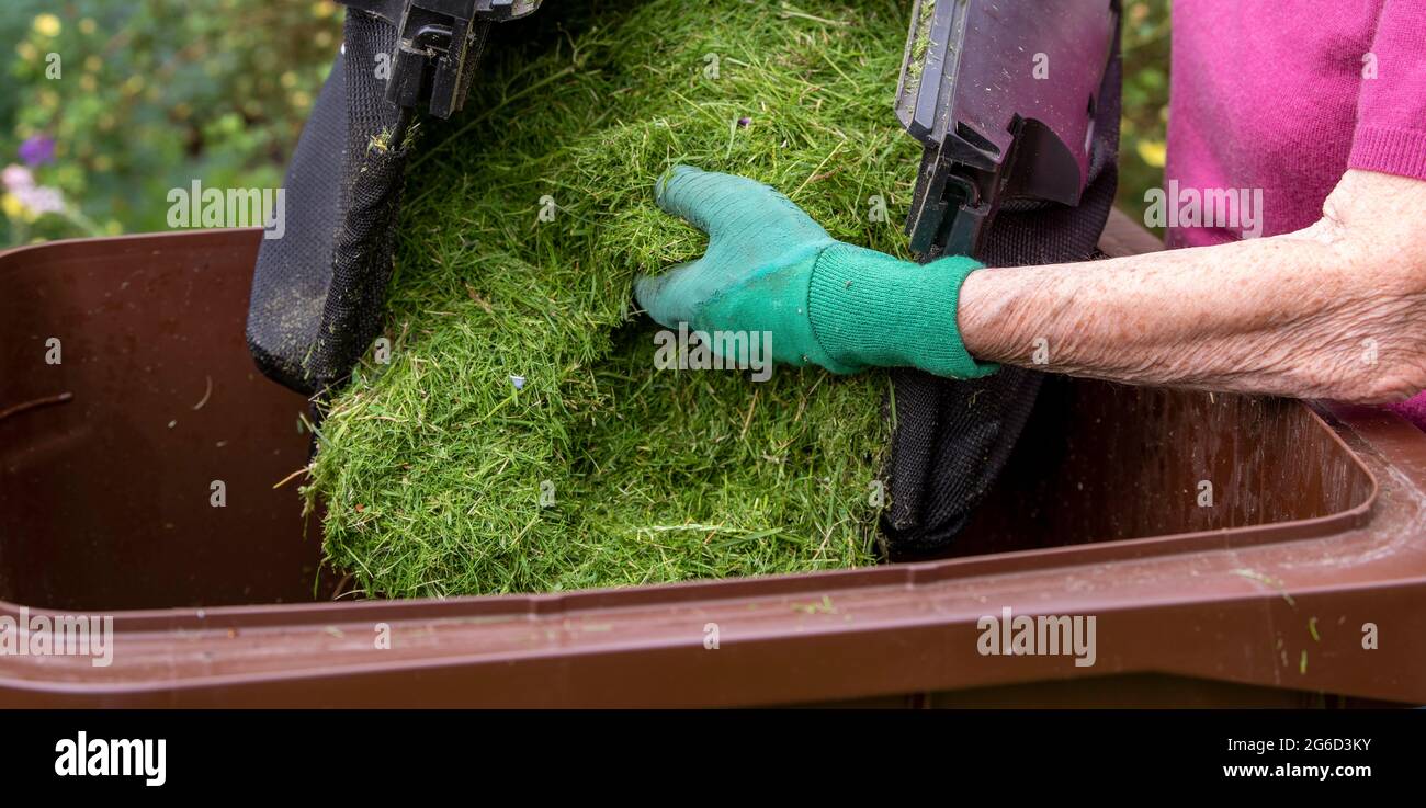 Woman filling green recycling bin hires stock photography and images