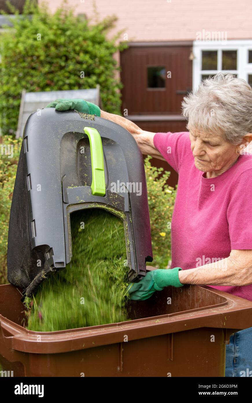 Hampshire, England, UK. 2021. Woman emptying grass cuttings into a