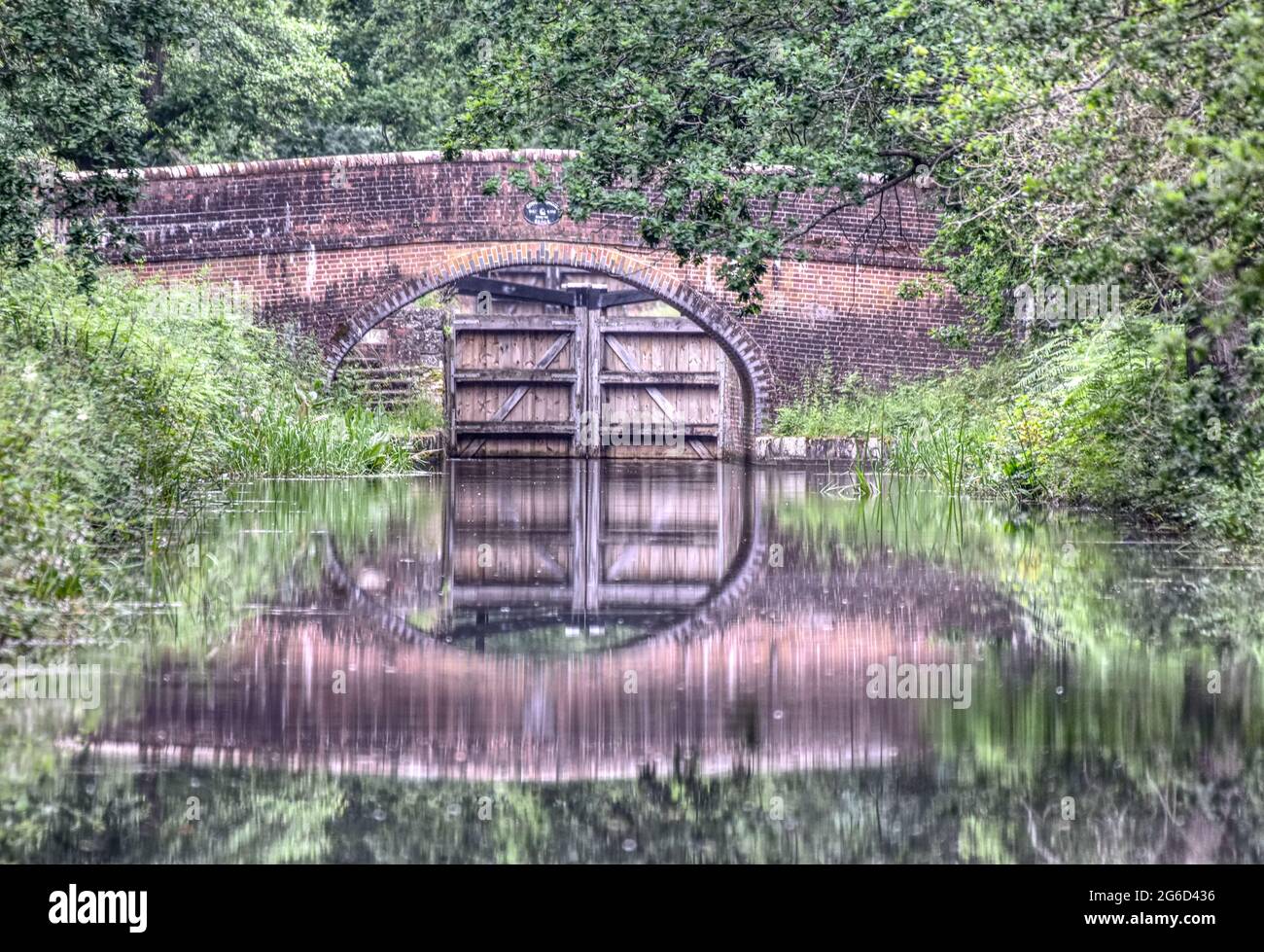 Cowpath bridge near Pirbright is reflected in the still waters of the beautiful Basingstoke Canal in Surrey Stock Photo