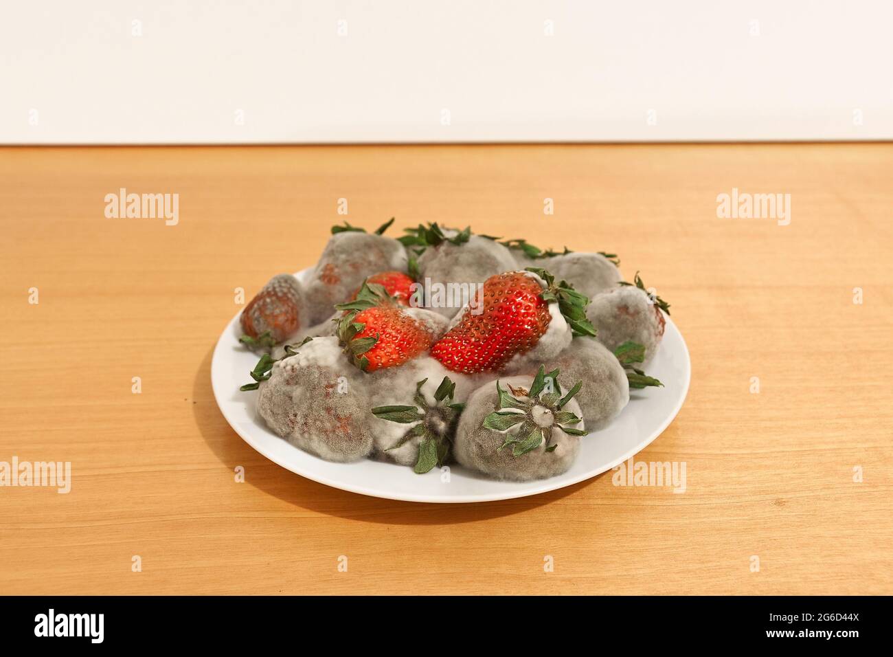 Strawberries rotting away in a pantry Stock Photo