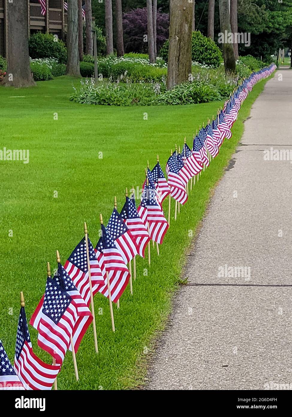 Row of American flags on green lawn in front yard Stock Photo Alamy