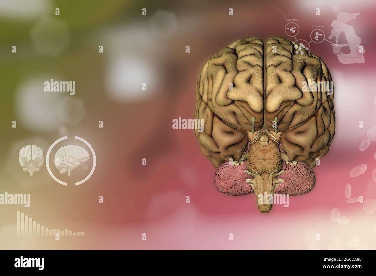 Human brain, nervous research concept - highly detailed modern texture ...