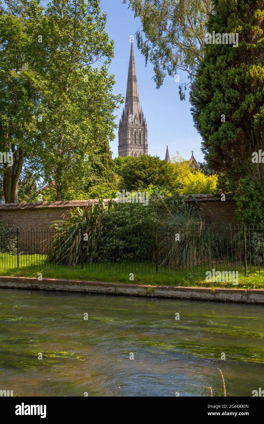 Salisbury Cathedral from across the river Avon, Wiltshire, England with the country's tallest spire Stock Photo