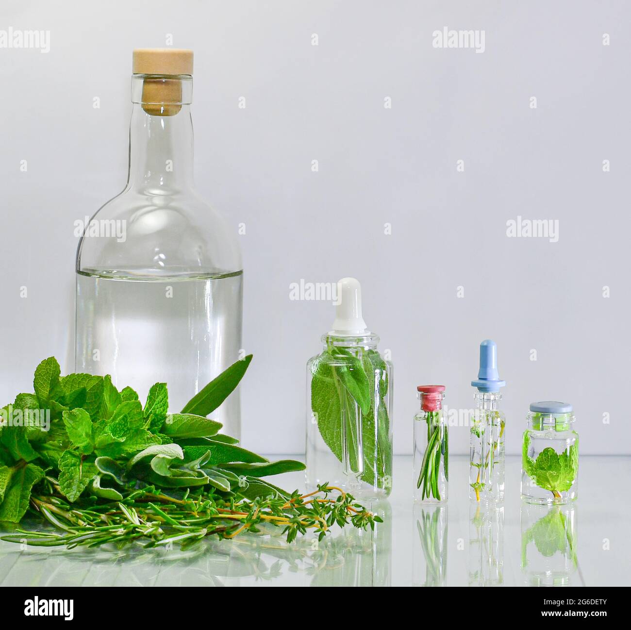 The use of aromatic herbs in medicine and cosmetology. Cooking infusions in jars. Stock Photo