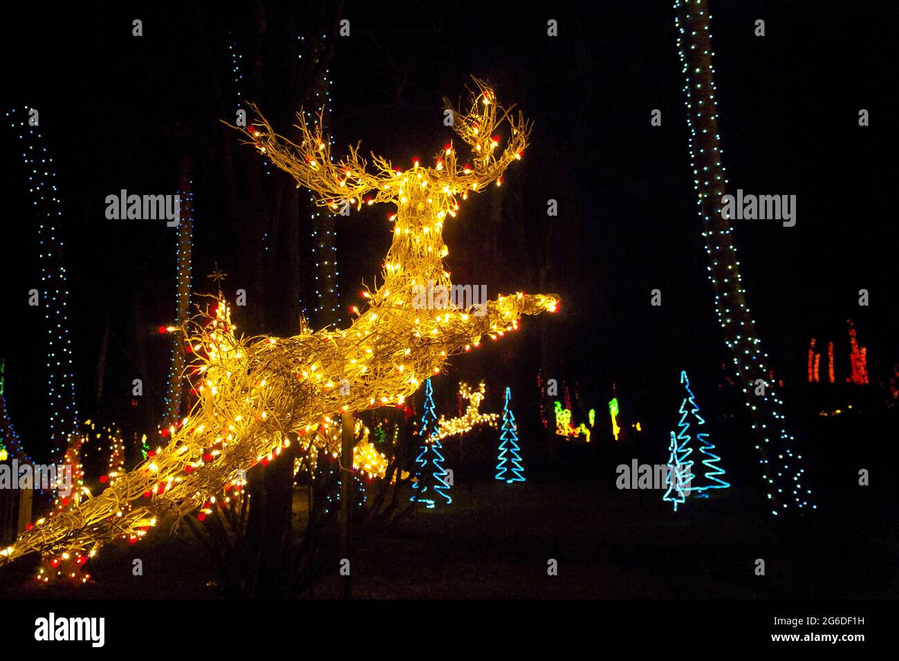 Palm trees with christmas lights hires stock photography and images Alamy