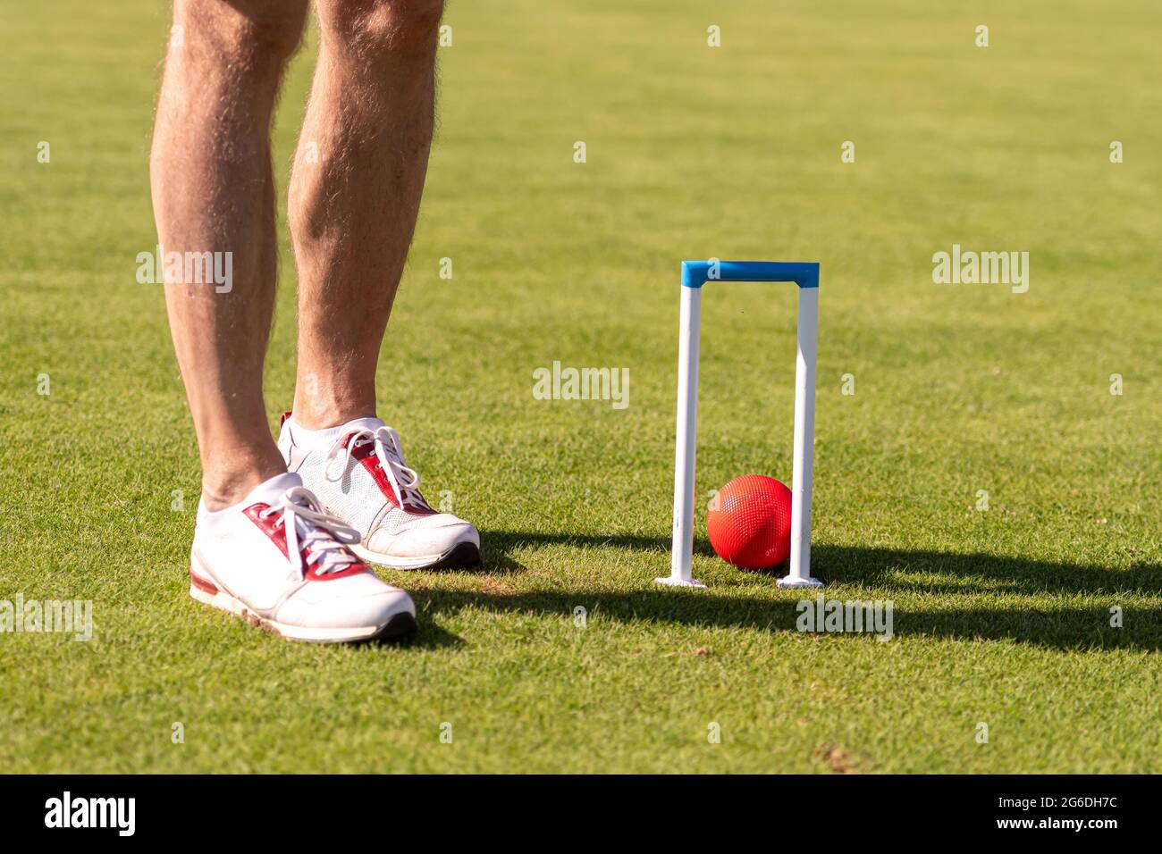 male croquet player hitting the ball with mallet Stock Photo Alamy