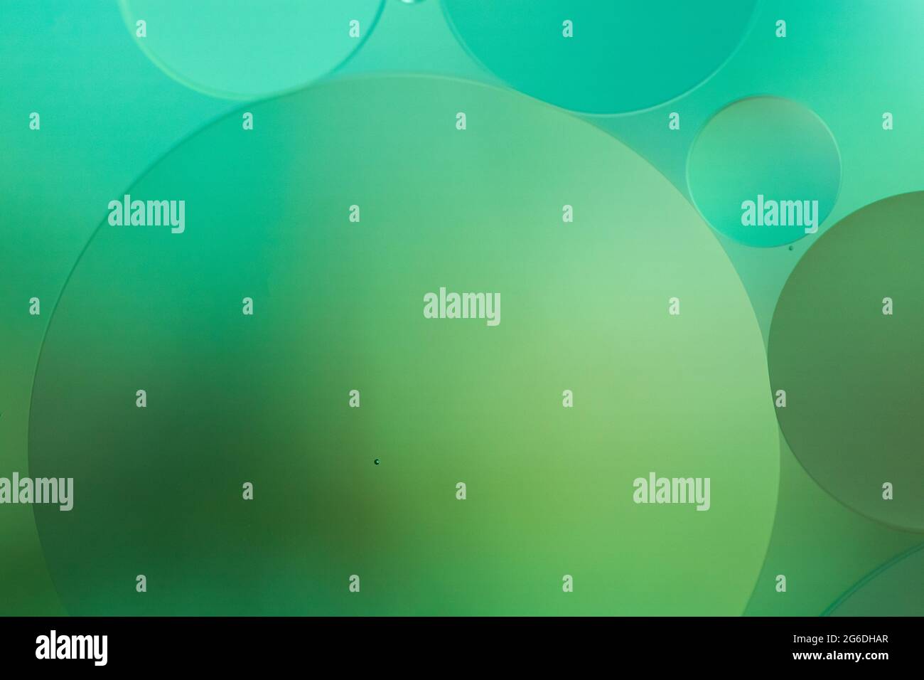 Green Plaid Bubble main image 1