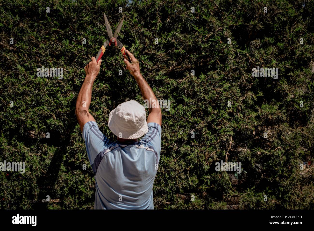 Gardener cutting grass hires stock photography and images Alamy