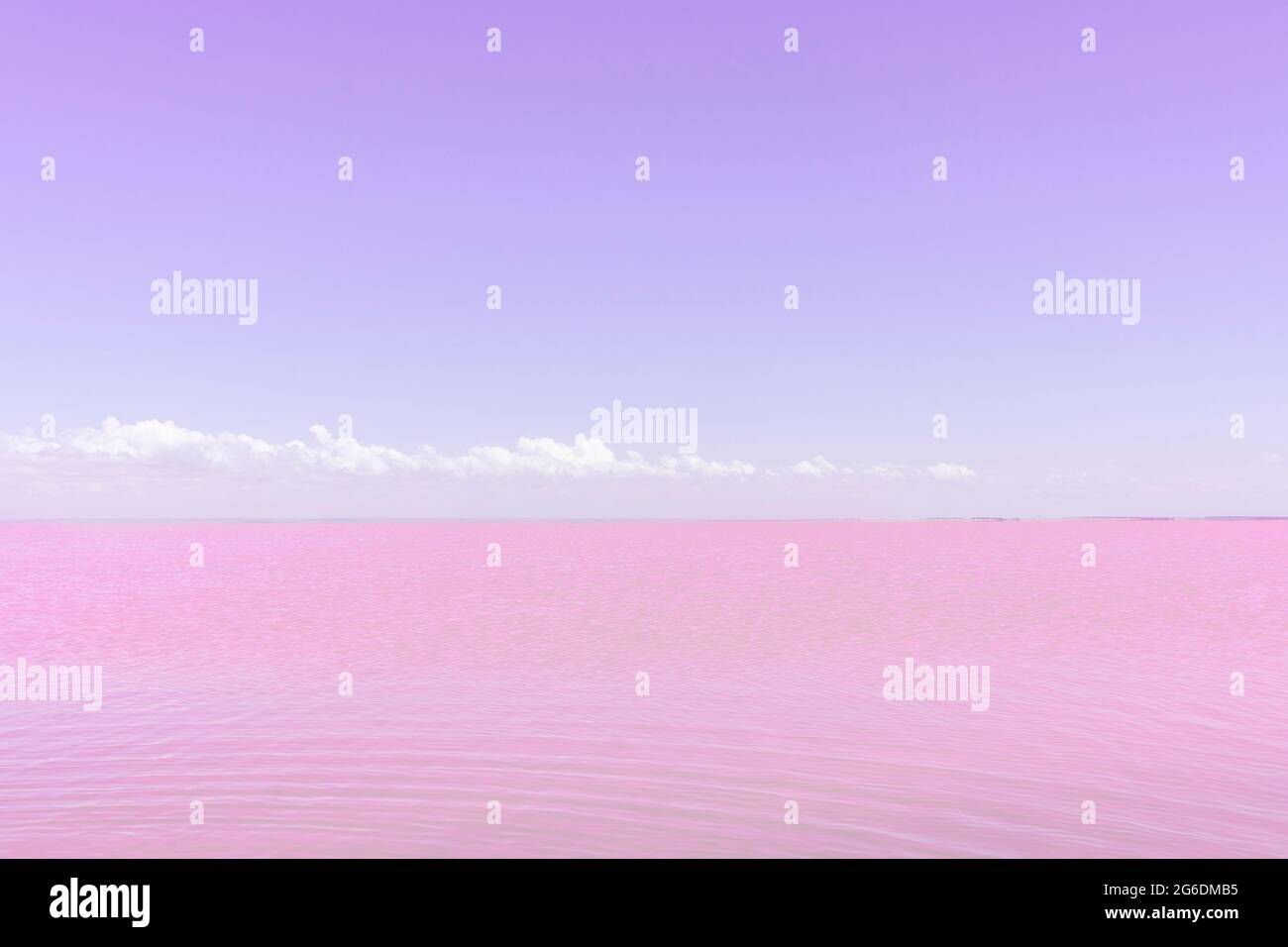 Salt lake with pink salt and the soft violet sky. Sasyk-Sivash pink salt  lake in Crimea. Summer landscape Stock Photo - Alamy, image size:1300x956