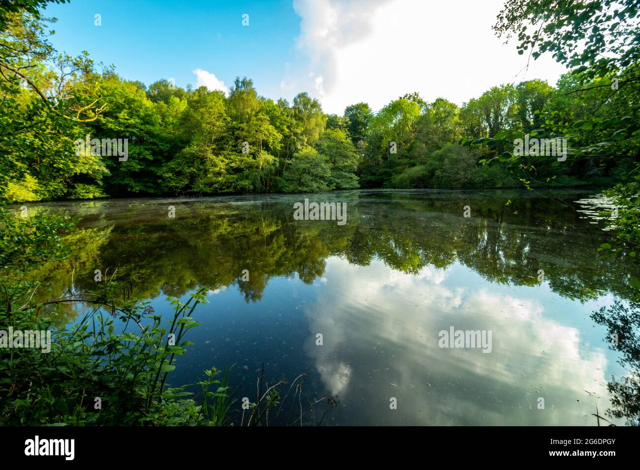 Lake in national forest in England near city ashby Stock Photo - Alamy