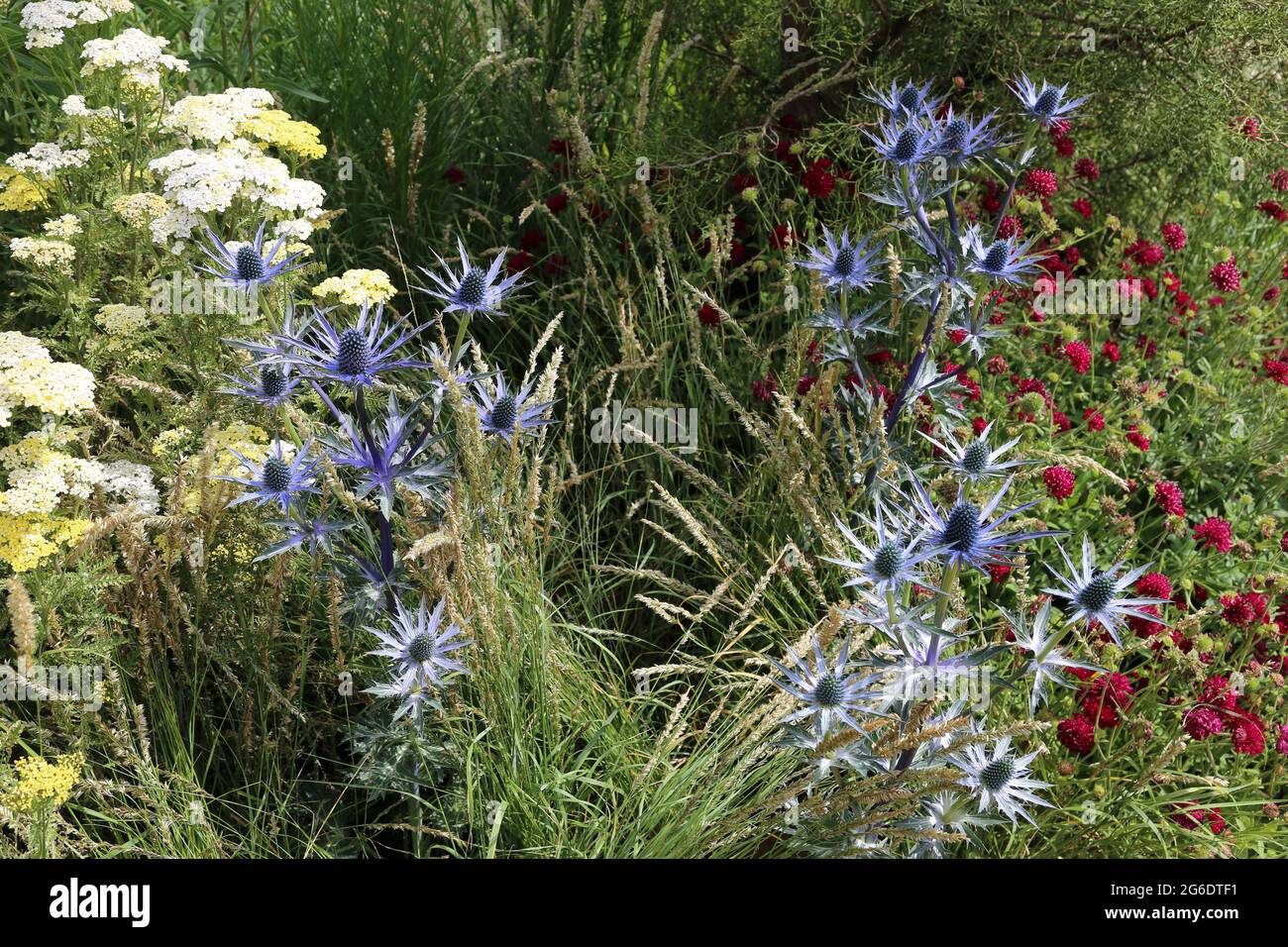 Tom stuart smith hi-res stock photography and images - Alamy