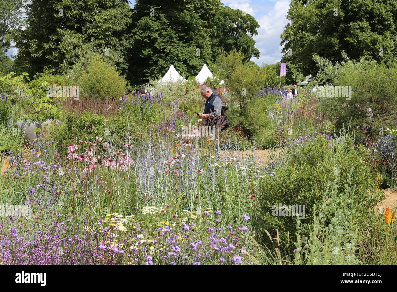 Tom stuart smith hi-res stock photography and images - Alamy